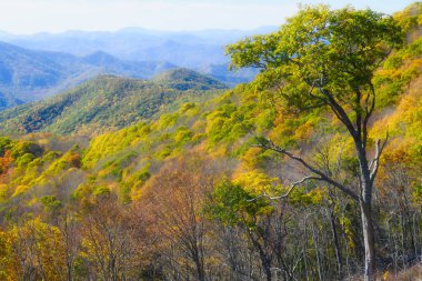 Appalachian Dağlarında sonbahar Blue Ridge Parkway boyunca görüldü.