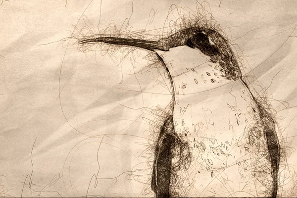 Sketch Close Ruby Throated Колибри Тёмном Фоне — стоковое фото