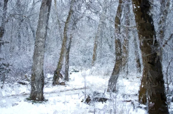 Impresionistický Styl Umělecké Dílo Studeného Sněhobílého Zimního Lesa — Stock fotografie