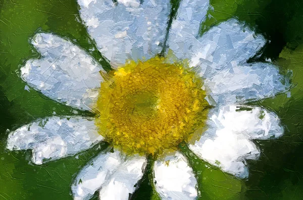 Вражаючий Стиль Роботи Білої Квітки — стокове фото