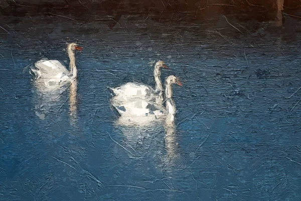 Oeuvre Art Style Impressionniste Trois Cygnes Blancs Nageant Dans Eau — Photo