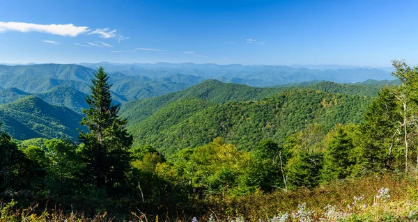 Appalachian Bergzicht Langs Blue Ridge Parkway — Stockfoto