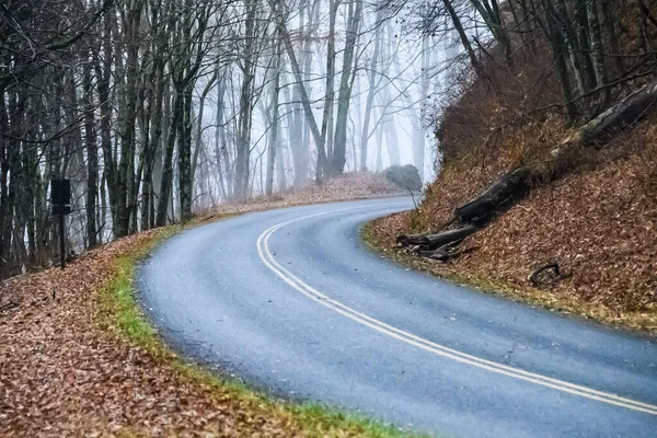 Roadway Meandering Foggy Appalachian Morning Langs Blue Ridge Parkway Stockafbeelding