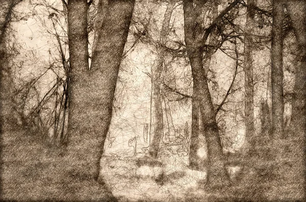 Croquis Des Ombres Humeur Dans Forêt Sombre Brumeuse — Photo