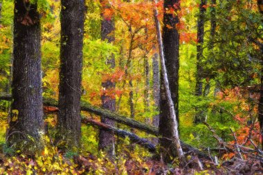 Yeşil Ormanın derinliklerinde saklı Sonbahar Renklerinin İzlenimci Biçim Sanatı