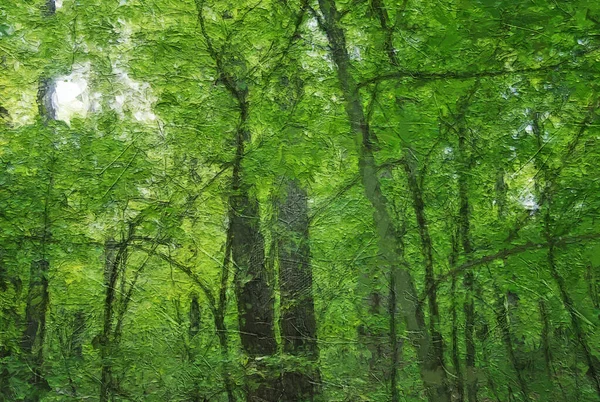 Impresjonistyczne Dzieło Stylu Wysokie Wiosenne Drzewa Sięgające Nieba — Zdjęcie stockowe