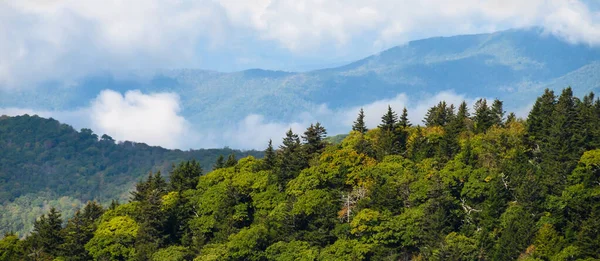 Ομιχλώδης Πρωί Στο Βουνό Valleys — Φωτογραφία Αρχείου