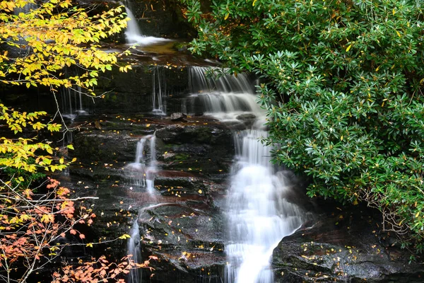 秋の森の奥に隠された清々しい滝 — ストック写真
