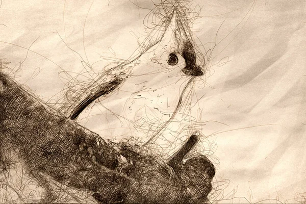 Bir Slender Ağacına Tünemiş Bir Titmouse Çizimi — Stok fotoğraf