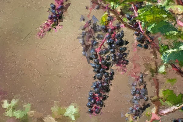 Impressionistic Style Artwork Nature Περίληψη Ripe Pokeberries Φθινόπωρο — Φωτογραφία Αρχείου