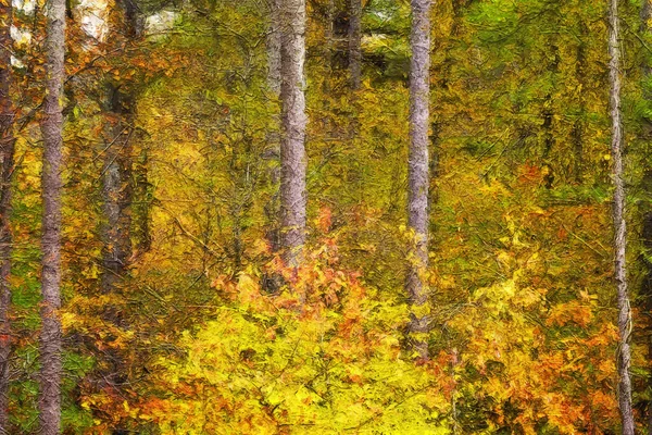 Impressionistic Style Artwork Autumn Colors Hidden Deep Green Forest — Stock Photo, Image