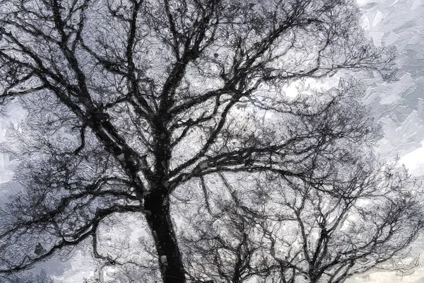 Ιμπρεσιονιστική Τεχνοτροπία Του Dark Ominous Silhouetted Tree Ένα Κρύο Συννεφιασμένο — Φωτογραφία Αρχείου