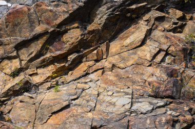 Doğa Özeti: Kaya Duvarındaki Çatlaklar ve Yarıklar Tarafından Yaratılan Desen