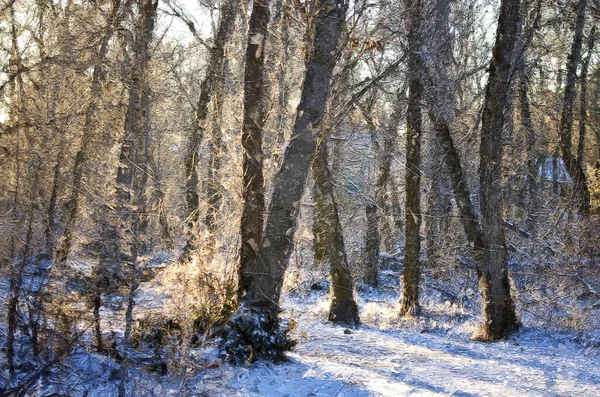 Estilo Impresionista Obra Arte Frío Bosque Invierno Nevado —  Fotos de Stock