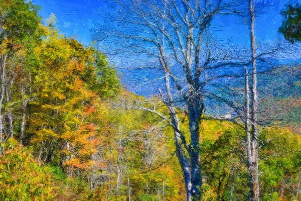 Estilo Impressionista Obra Arte Outono Nas Montanhas Apalaches Vista Longo — Fotografia de Stock