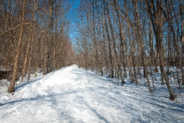 Impressionistic Style Artwork Snow Covered Trail Winter Forest — Stock Photo, Image