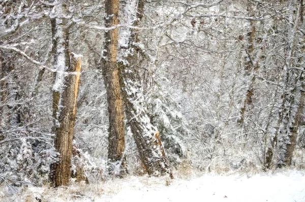 Impressionistic Style Artwork Cold Snowy Winter Forest — Stock Photo, Image