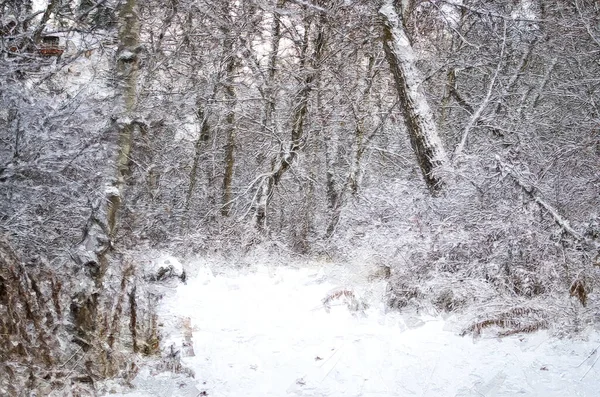 Impressionistic Style Artwork Snow Covered Trail Winter Forest — Stock Photo, Image