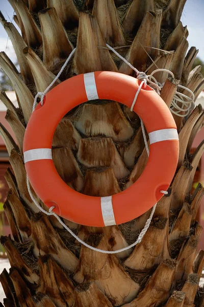 Boya de anillo de vida colgando de una palmera — Foto de Stock