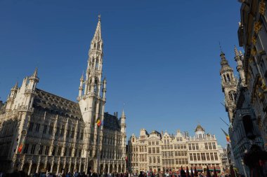 Turistler, Grand Place, Brussels, Belçika