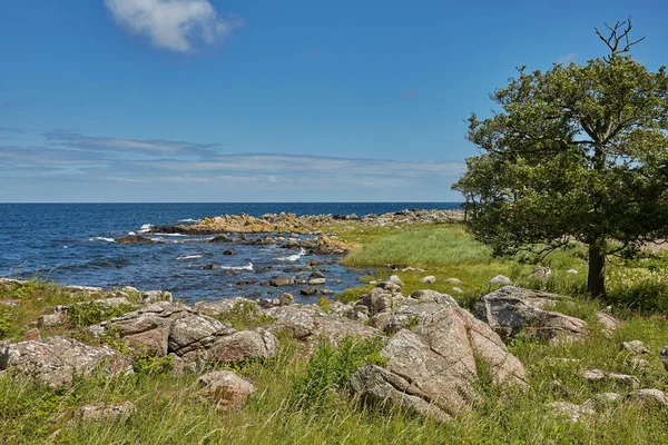 Línea costera del Mar Báltico cerca del pueblo de Svaneke en Isla Bornholm —  Fotos de Stock