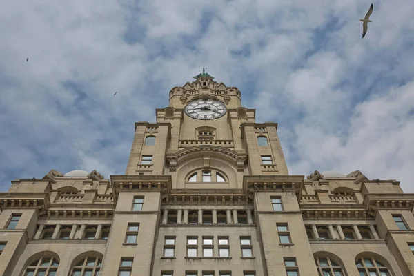 Liverpool 's Historic Liver Building and Clocktower, Liverpool, England — стоковое фото