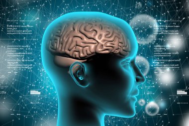 insan beyni renk arka planda gösterimi