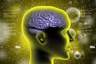 insan beyni renk arka planda gösterimi