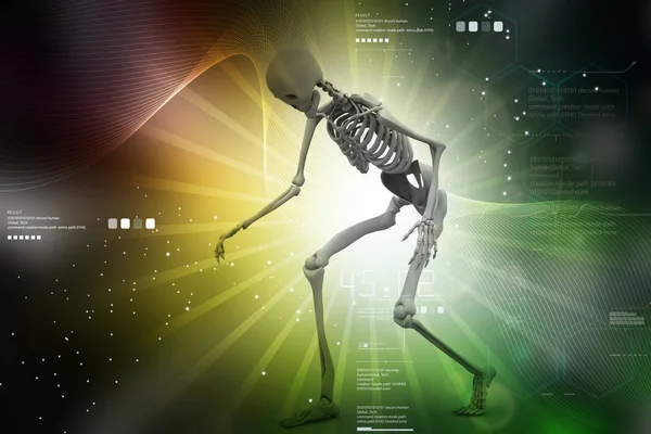 İnsan Skelton renk arka planda — Stok fotoğraf