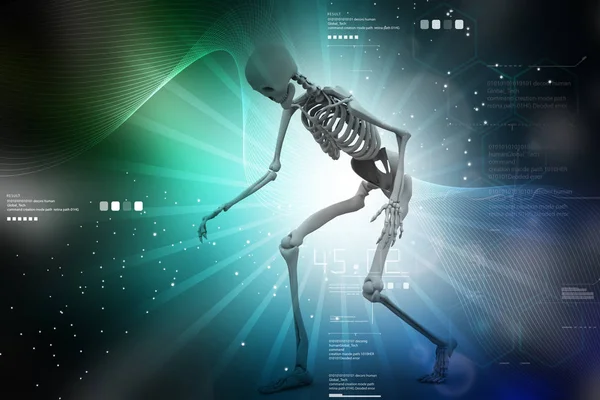 İnsan Skelton 3D çizimi — Stok fotoğraf