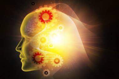 kadın beyin gösterimi 3D çizimi