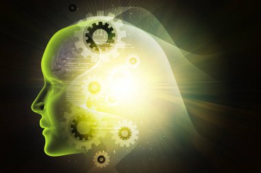 kadın beyin gösterimi 3D çizimi