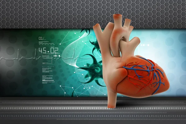 人类心脏的3D例证 — 图库照片