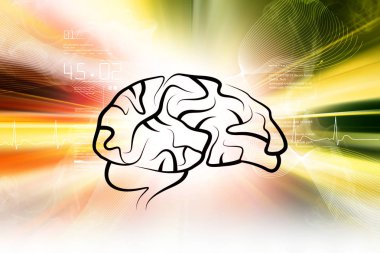 Dijital illüstrasyon insan beyninin yapısı