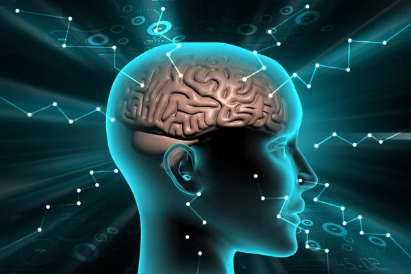 Digital illustration of Brain development concept — Stock Photo, Image