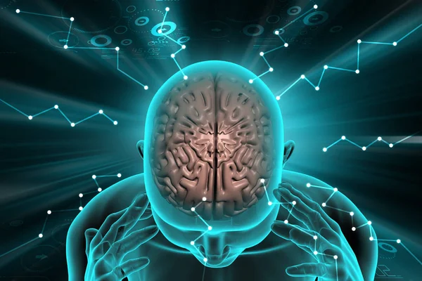 Цифровая иллюстрация концепции развития человеческого мозга — стоковое фото