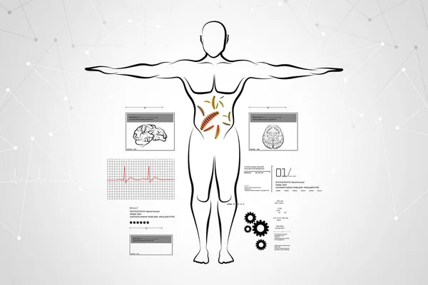 Ilustración digital de Bosquejo del cuerpo humano — Foto de Stock