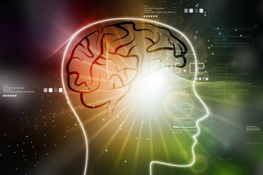 Akıllı kadın baş