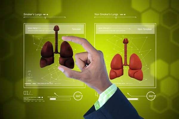 Цифрова ілюстрація молодого лікаря, що показує легені — стокове фото