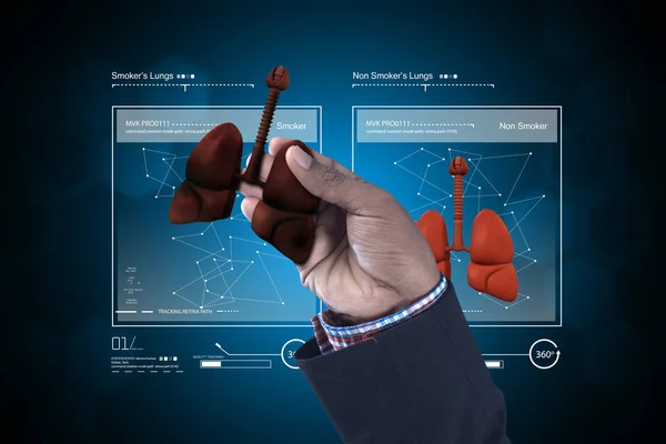 Digitale afbeelding van jonge arts tonen van de longen — Stockfoto