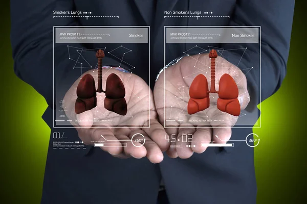 Ilustração digital de Jovem médico mostrando pulmões — Fotografia de Stock