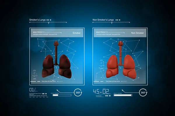 Genç doktorun akciğerler gösterilen dijital illüstrasyon — Stok fotoğraf