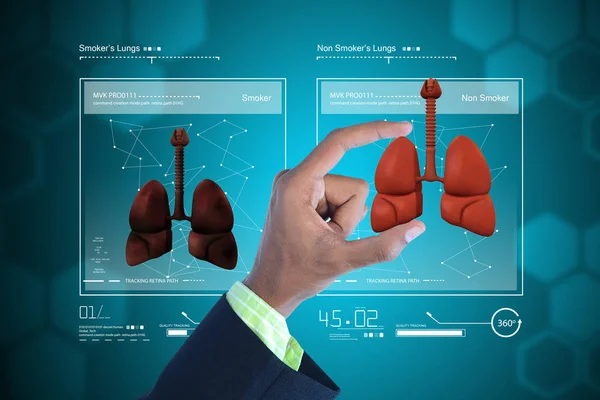 Illustrazione digitale del giovane medico che mostra i polmoni — Foto Stock