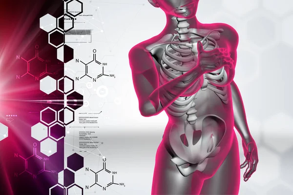 Skelton dijital illüstrasyon göğüs ağrısı ile — Stok fotoğraf