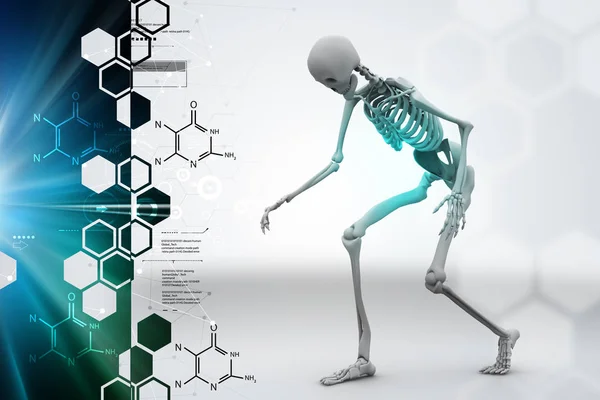 人間の骨格のデジタル イラストレーション — ストック写真