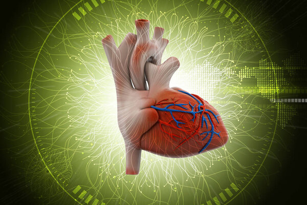 цифровая иллюстрация человеческого сердца с тромбоцитами
 