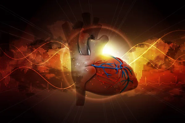 Illustration 3D du cœur humain — Photo