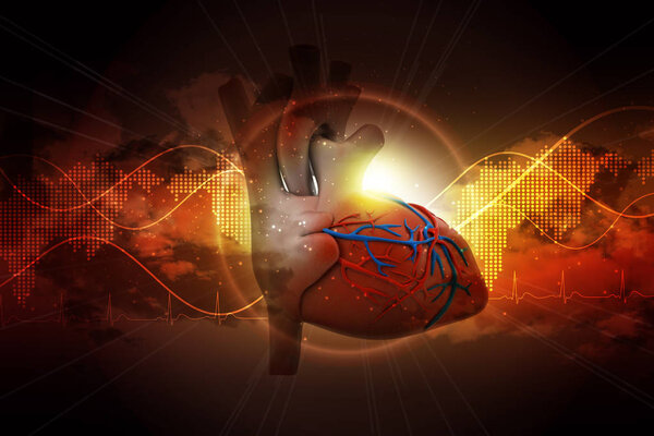 3d illustration of Human heart  