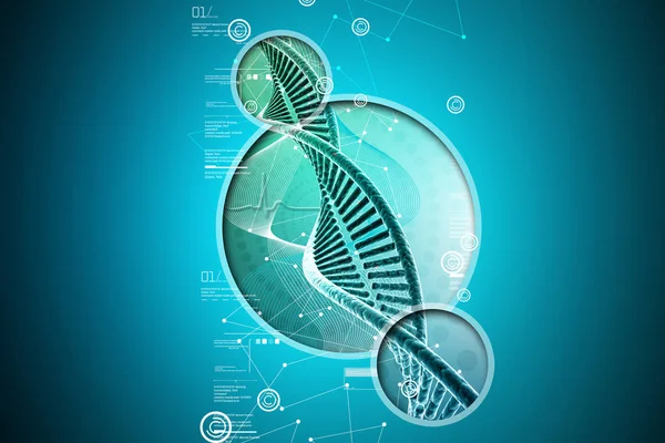 Human DNA strand in color background — Stock Photo, Image