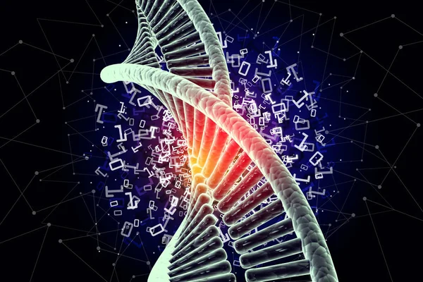 Illustration 3D du modèle de chaîne d'ADN chromé torsadée — Photo